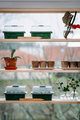 Grönsaksväxthus Mini Garden